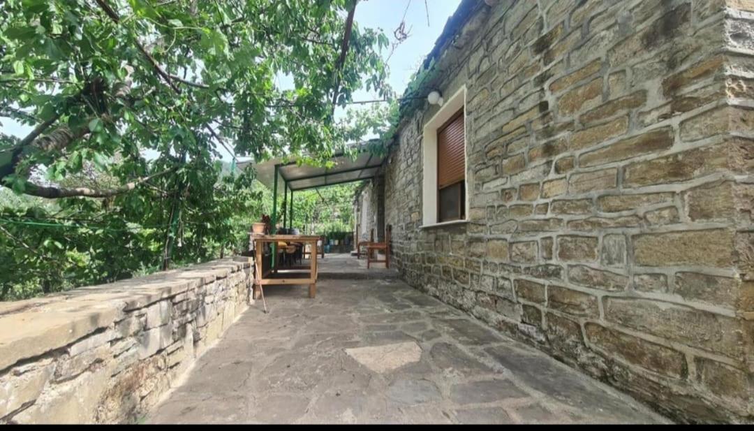 Gest House Felau